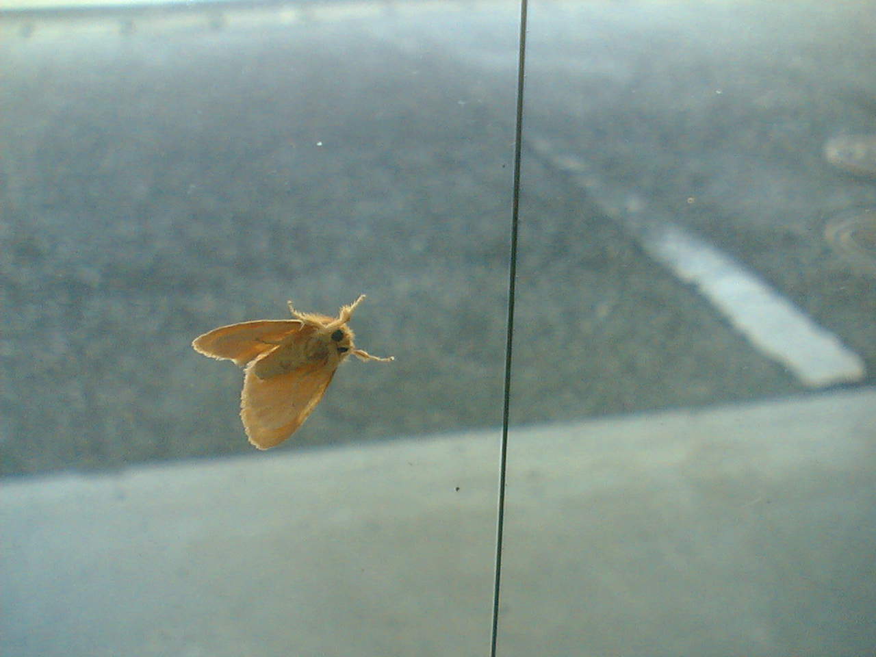 d0102007_1232535.jpg