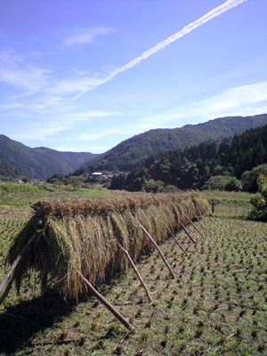 f0135908_21565764.jpg