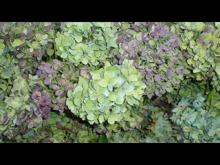 f0190010_22192838.jpg