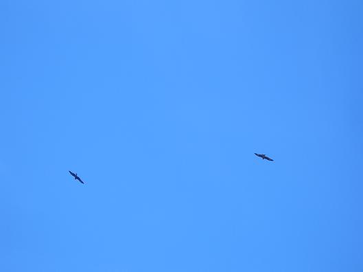 e0033713_17422190.jpg