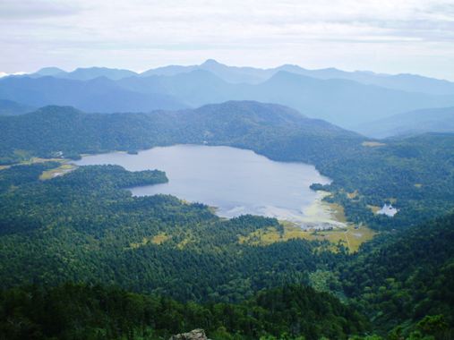 c0177814_1541818.jpg