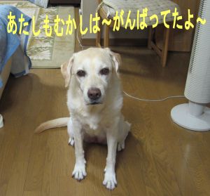 b0008217_943427.jpg