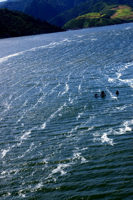 d0097318_21532368.jpg