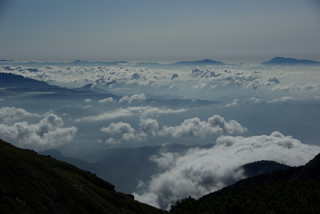b0062024_744587.jpg