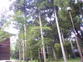a0099129_16472355.jpg
