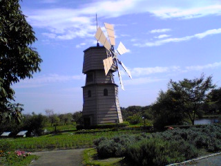 a0099129_17152012.jpg