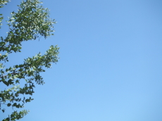 b0115330_12321365.jpg