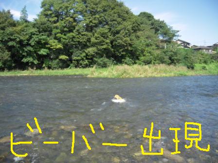f0176830_18413151.jpg