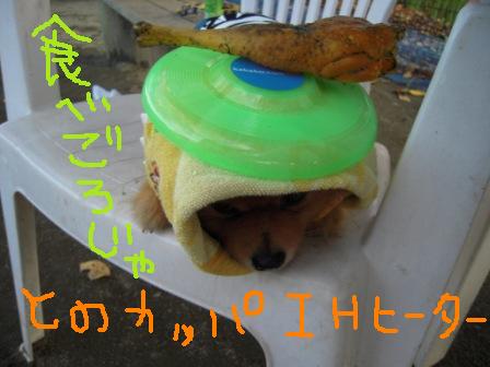 f0176830_19135850.jpg
