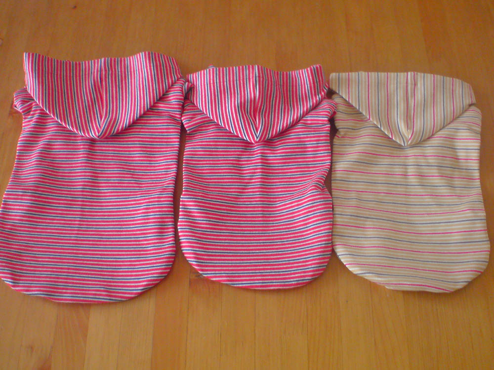 c0117831_21384591.jpg