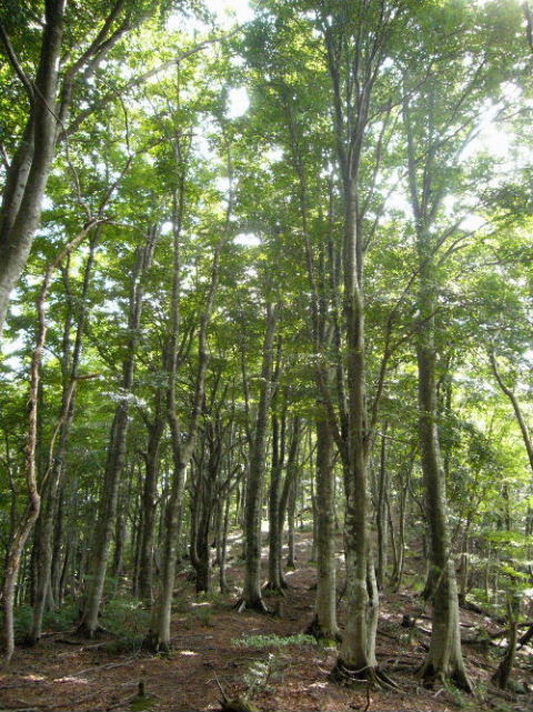 d0075131_2245229.jpg