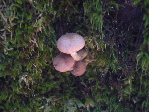 d0075131_2323342.jpg