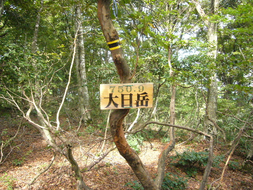 d0075131_2333710.jpg