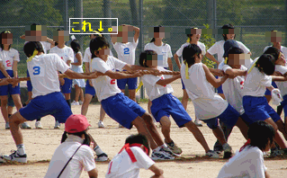 c0136736_13115855.gif