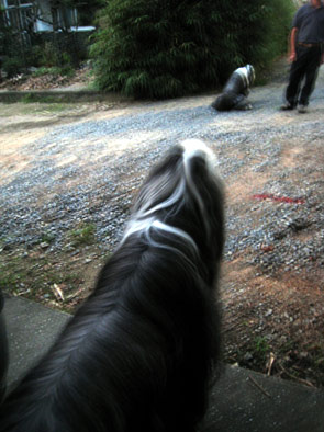 e0114637_21522371.jpg