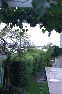 b0057839_142277.jpg