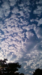 c0150440_4242291.jpg
