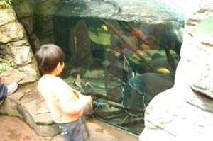 e0057740_7413197.jpg