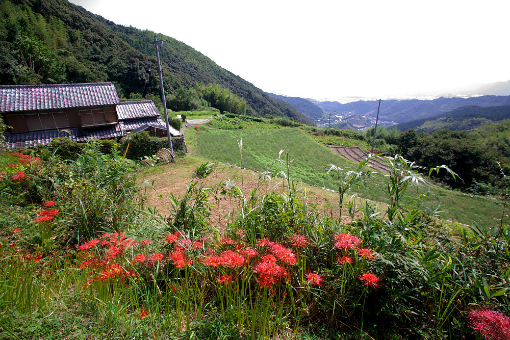 a0078341_21193979.jpg
