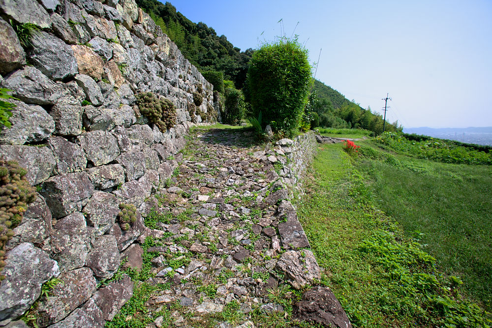 a0078341_21204459.jpg
