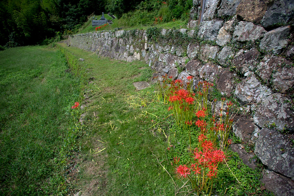 a0078341_21224062.jpg
