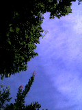 c0152241_8422045.jpg