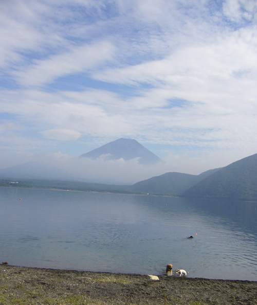e0038241_9594795.jpg