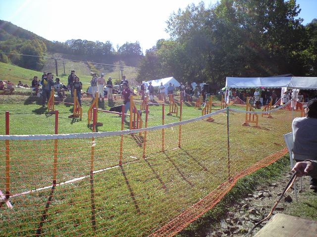 a0042044_037397.jpg