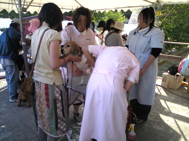 a0042044_0383920.jpg