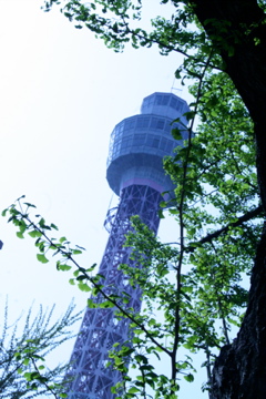 f0179947_2137820.jpg