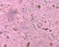 f0154649_093953.jpg