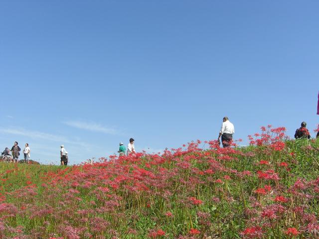 d0138650_1811289.jpg
