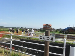 d0138650_18391574.jpg