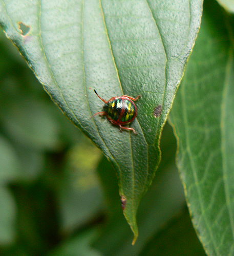 d0091754_22135021.jpg