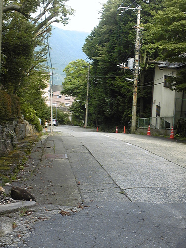 d0083859_2025185.jpg