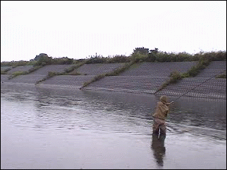 f0084561_17422317.gif