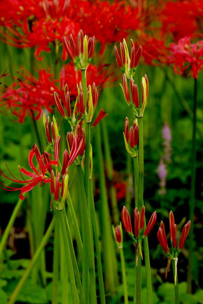 b0032262_22474833.jpg