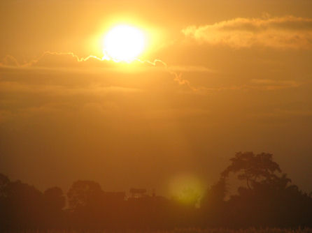 d0151463_4511339.jpg