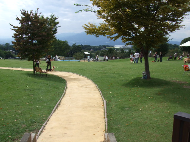 b0103668_14364826.jpg