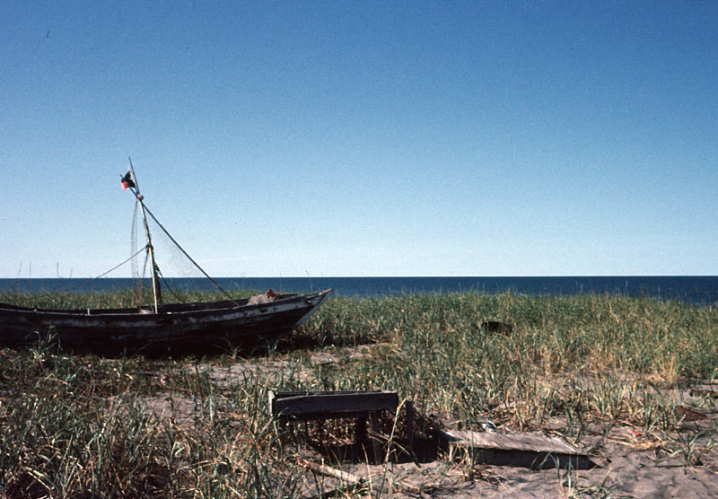 e0100772_22272812.jpg