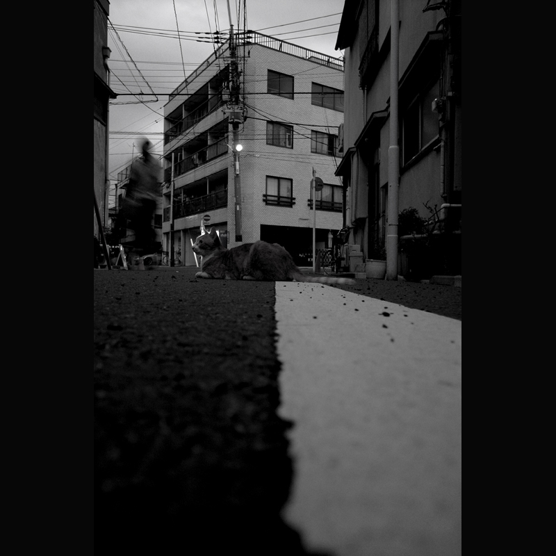 c0118173_21504623.jpg