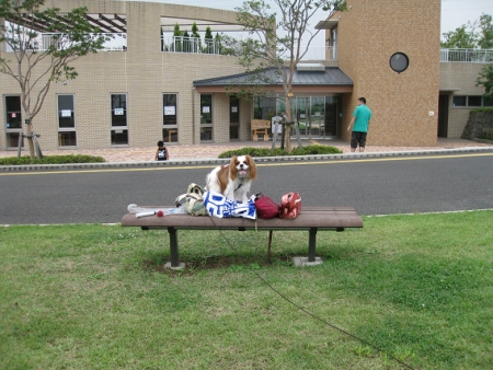 f0175875_2128835.jpg