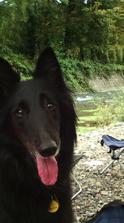 c0052779_2155932.jpg