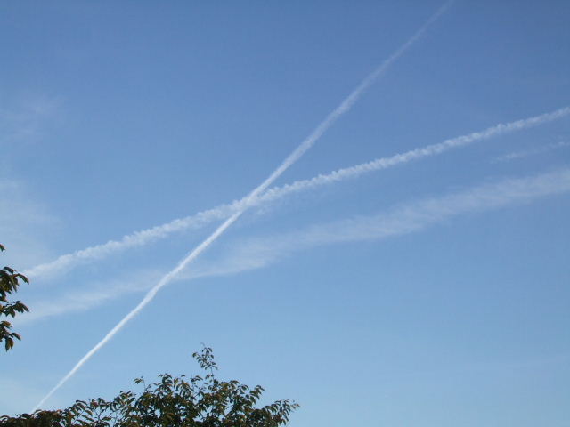 f0005081_20111941.jpg