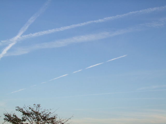 f0005081_20115777.jpg