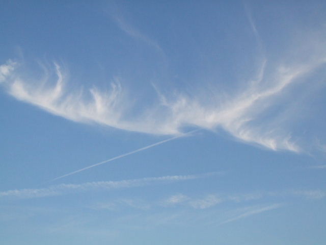 f0005081_20122942.jpg