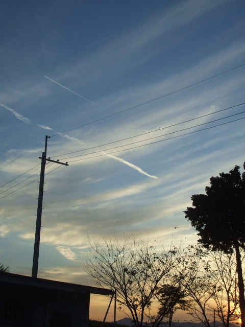 f0005081_20124744.jpg