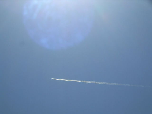f0005081_205574.jpg