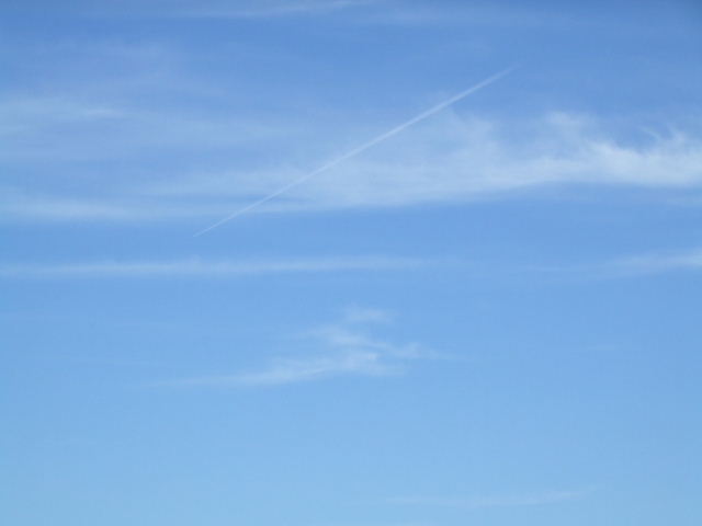f0005081_2075438.jpg