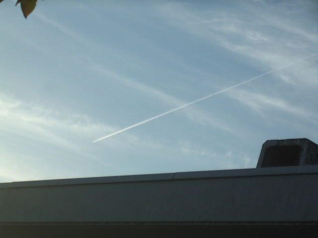 f0005081_2085046.jpg